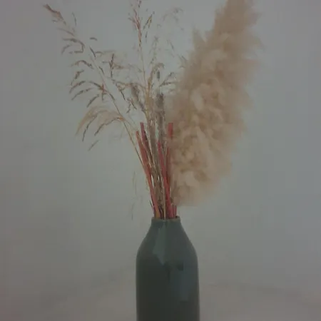 La Robine Apartmán Narbonne