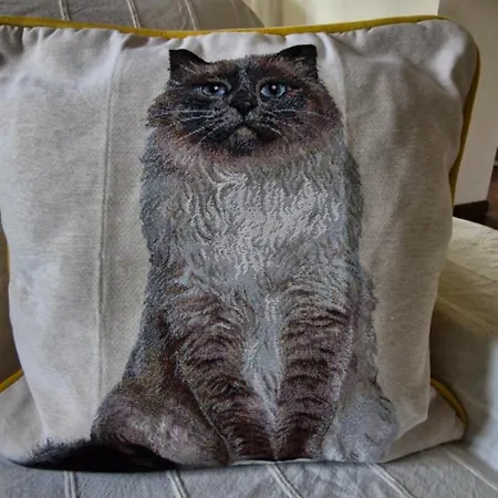 La Robine * Narbonne